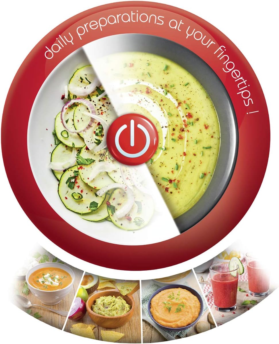 Moulinex Easy Chef Hand Blender DD450