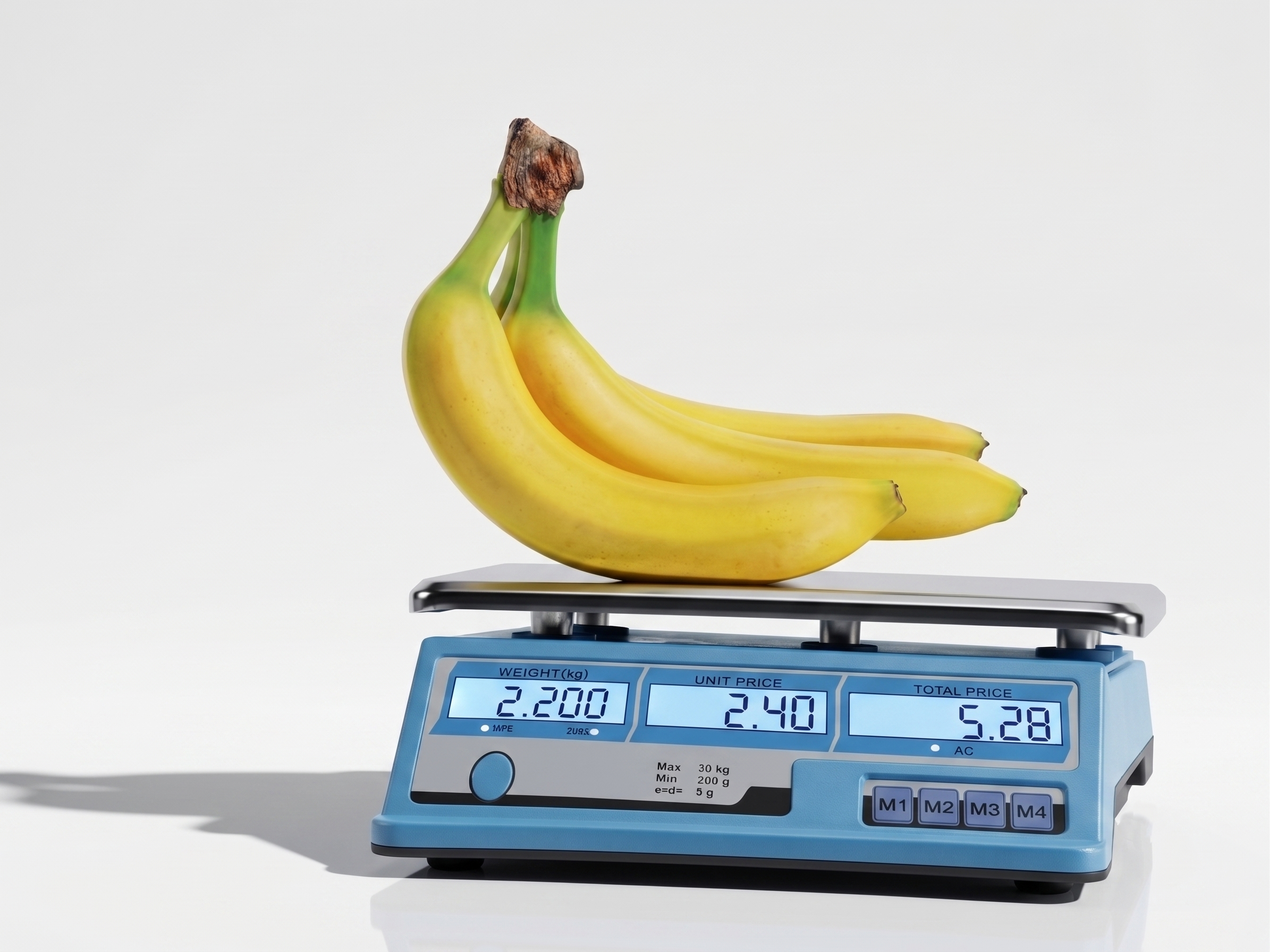 Food Scale Electronic Price Computing Scale